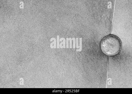 Türpolsterung mit Dermantine Vintage grau Oberfläche Möbelnagel mit dekorativem Hutelement Innenarchitektur. Stockfoto