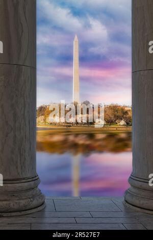 Washington Monument eingerahmt - die Kirschblüten schmücken das Washington Monument und das Gezeitenbecken während des Cherry Blossom Festivals in Washington DC Stockfoto