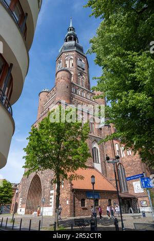 31. Mai 2023, Mecklenburg-Vorpommern, Greifswald: Blick auf die protestantische Kathedrale St. Nikolai. Neben einem umfangreichen Kulturprogramm wird der 250. Geburtstag des Malers Caspar David Friedrich im kommenden Jahr auch bleibende Spuren in seiner Heimatstadt Greifswald hinterlassen. Die neuen Ostfenster in der Kathedrale sollen im April eröffnet werden. Nach Angaben der Stadt soll das Jubiläumsjahr in der Kathedrale feierlich am 20. Januar 2024 eröffnet werden. Es wurden bereits 160 Ereignisse registriert. Konzerte mit moderner und klassischer Musik, Sonderausstellungen Stockfoto