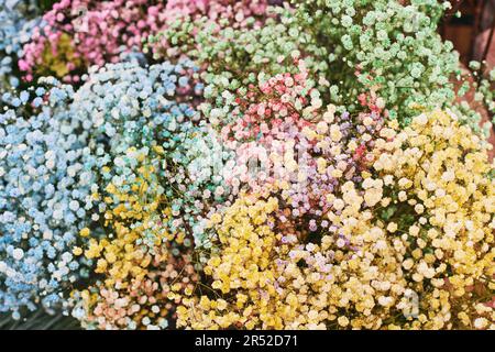 Bunte Zigeunerblüten, riesiger Strauß mit vielen verschiedenen Farben Stockfoto