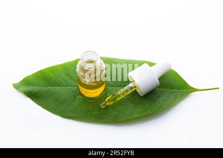 Naturheilmittel, Aromatherapie - Tropfer und Flasche. Organische Bio-Alternativmedizin Stockfoto