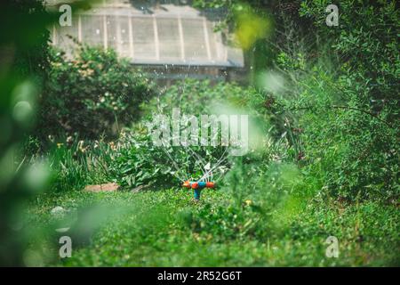 Automatische Gartenbewässerungssystem mit verschiedenen drehenden Sprinklern auf Rasen installiert. Landschaftsgestaltung mit Rasen und Obstgarten bewässert Stockfoto