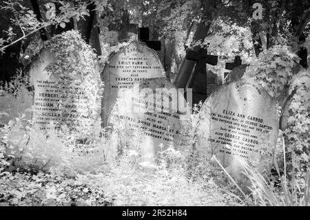 Gräber im Highgate Cemetery East, London Stockfoto