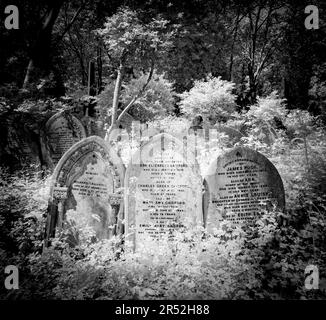 Gräber im Highgate Cemetery East, London Stockfoto