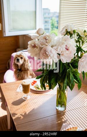 Der Hund sitzt auf einem Stuhl am Tisch. Ein wunderschöner Strauß Pfingstrosen steht in einer Vase auf dem Tisch. Frühstückskonzept. Stockfoto