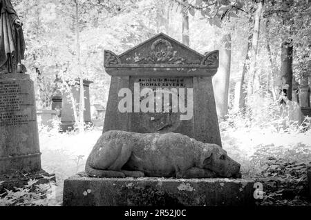 Grab von Thomas Sayers mit der Statue seines Hundes „Löwe“ im Highgate Cemetery West, London Stockfoto