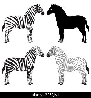Set aus verschiedenen Zebrasilhouetten, isoliert auf weiß Stock Vektor