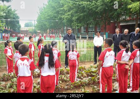 Peking, China. 31. Mai 2023. Der chinesische Präsident Xi Jinping, auch Generalsekretär des Zentralkomitees der Kommunistischen Partei Chinas und Vorsitzender der Zentralen Militärkommission, spricht mit Schülern auf dem Studentenfarm der Yuying School Peking in der chinesischen Hauptstadt, am 31. Mai 2023. XI besuchte am Mittwoch vor dem Internationalen Kindertag, der am 1. Juni stattfindet, die Yuying School in Peking und erweiterte Festivalgrüße an Kinder im ganzen Land. Kredit: Ju Peng/Xinhua/Alamy Live News Stockfoto