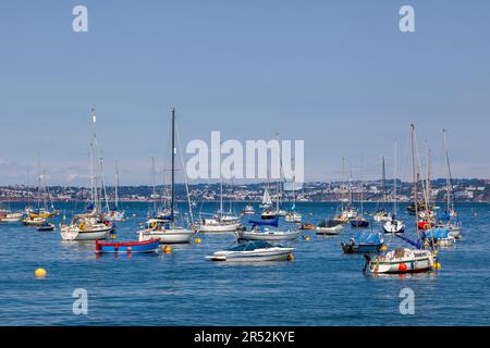 BRIXHAM, DEVON, UK - JULI 28 : Blick auf die Boote in Brixham, Devon am 28. Juli 2012 Stockfoto