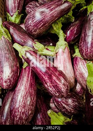 Auberginen in einem Warenkorb Stockfoto