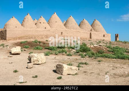 Traditionelle Bienenstockhäuser, Schlammhäuser, Bienenstock, Schlammhaus, Schlammhütte, Harran, Provinz Sanliurfa, Türkei Stockfoto