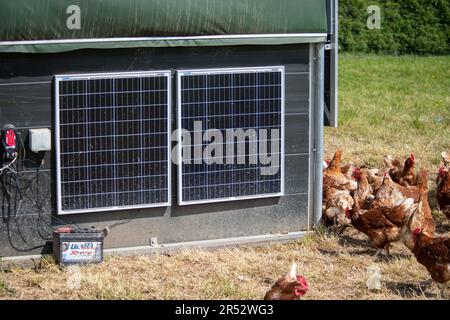 Die Ducks Hill Farm ist eine Eierfarm in Northwood in der Nähe von London, die ihre Eier an einem Verkaufsautomaten verkauft. Die mobilen Schuppen sind solarbetrieben. Stockfoto