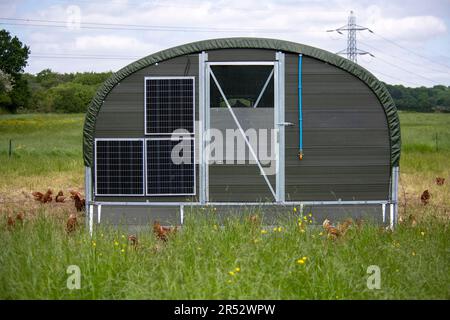 Die Ducks Hill Farm ist eine Eierfarm in Northwood in der Nähe von London, die ihre Eier an einem Verkaufsautomaten verkauft. Die mobilen Schuppen sind solarbetrieben. Stockfoto