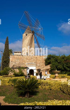 Restaurant in Windmühle, Santa Maria del Cami, Mallorca, Balearen, Spanien Stockfoto