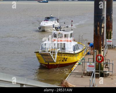 Harwich Harbour, Essex - 31. Mai 2023 : die hellgelbe Hafenfußfähre in Shotley. Stockfoto