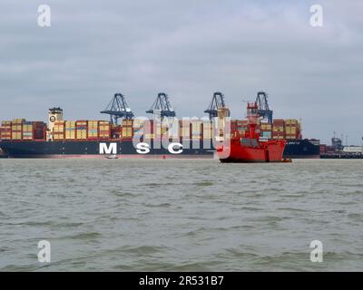 Harwich Harbour, Essex - 31. Mai 2023 : MSC Loreto und das Rotlichtschiff Sevenstones. Die Loreto ist das größte Containerschiff der Welt. Stockfoto