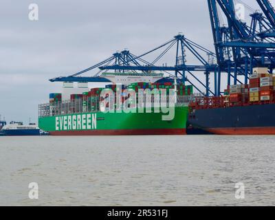 Harwich Harbour, Essex - 31. Mai 2023 : Evergreen Aria Containerschiff, angelegt in Felixstowe. Stockfoto