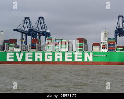 Harwich Harbour, Essex - 31. Mai 2023 : Evergreen Aria Containerschiff, angelegt in Felixstowe. Stockfoto