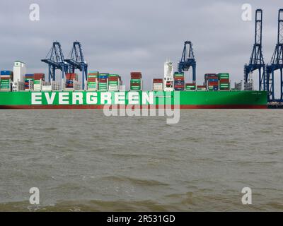 Harwich Harbour, Essex - 31. Mai 2023 : Evergreen Aria Containerschiff, angelegt in Felixstowe. Stockfoto