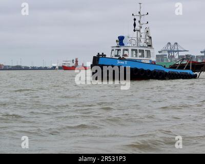 Harwich Harbour, Essex - 31. Mai 2023 : Jean-T-Schlepper und Leichtschiff Sevenstones. Stockfoto