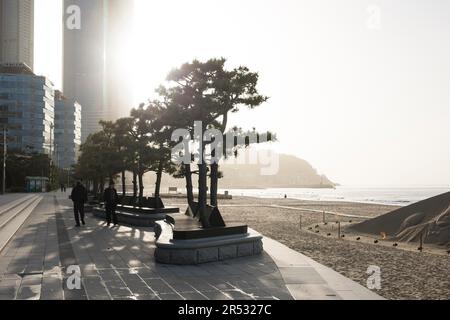 Weltausstellung 2030 in Busan, Südkorea, Weltausstellung, Stadt am Meer, Haeundae Strand, Menschen, Besucher, Morgenlicht, Sandklippe, Sonnenaufgang, Morgen Stockfoto