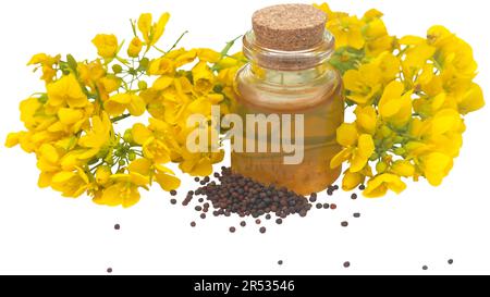 Eine Nahaufnahme von Senfblumen, Samen und Öl in einer Flasche Stockfoto