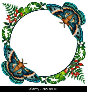 Rahmen in Aquarellfarben mit blauer grüner Motte, wildem Waldfarn, roten Beeren und grünem Gras. Naturwald wilde Landschaft. Isolierte Abbildung auf weißem Bac Stockfoto