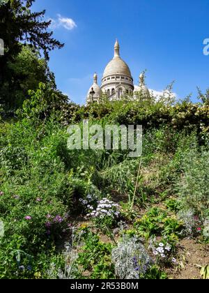 Das imposante Sacré Coeur de Montmartre war in der warmen Sommersonne gebadet und leicht abstrakt, Paris, Frankreich Stockfoto