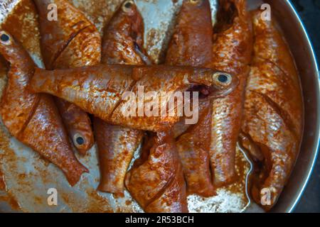 Frisch marinierter roher Schnappfisch auf Tellern ist ein lebendiger Farbton von blassrosa bis dunkelrot, der im Mund schmilzt Stockfoto