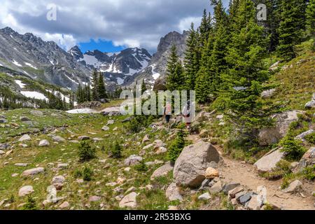 Mountain Trail - zwei gut ausgestattete Bergsteiger, die an einem sonnigen Sommertag auf dem Pawnee Pass Trail in Richtung der zerklüfteten Indian Peaks wandern. Indian Peaks Wilderness. Stockfoto