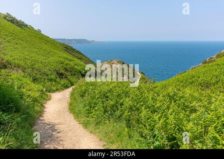 Wanderweg hinunter zur Aussichtsplattform Devil's Hole, Devil's Hole, St Mary Parish, Jersey, Channel Islands Stockfoto