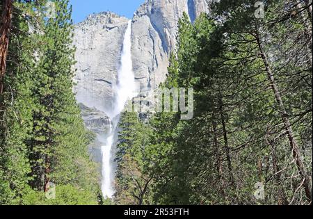 Unter den Yosemite Falls - Yosemite NP, Kalifornien Stockfoto