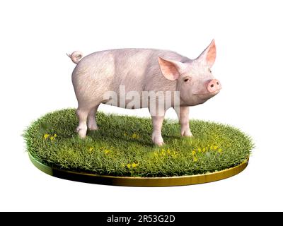 Süßes Schwein mit grünem Gras. Digitale Illustration, 3D-Rendering. Stockfoto
