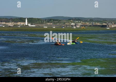 Familien-Kajaktour mit ihrem Hund auf dem Solent in der Nähe des Hurst Point Lighthouse Stockfoto