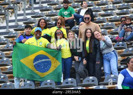 La Plata, Argentinien, 31. Mai 2023, Unterstützer Brasiliens während des Spiels der sechzehnten FIFA-Weltmeisterschaft U20 im Diego Armando Maradona Stadium (Foto: Néstor J. Beremblum) Stockfoto