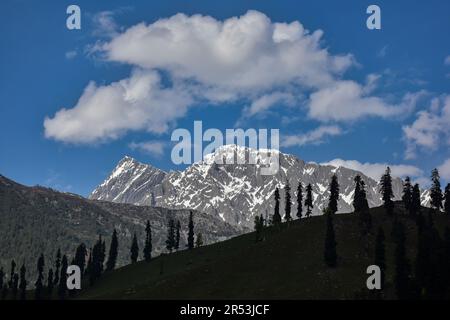 Sonamarg, Kaschmir, Indien. 31. Mai 2023. Ein Blick auf schneebedecktes Zojila (ein hoher Bergpass im Himalaya) vom Sonamarg Touristenresort, ca. 100kms km von Srinagar, der Sommerhauptstadt von Jammu und Kaschmir entfernt. (Kreditbild: © Saqib Majeed/SOPA Images via ZUMA Press Wire) NUR REDAKTIONELLE VERWENDUNG! Nicht für den kommerziellen GEBRAUCH! Stockfoto