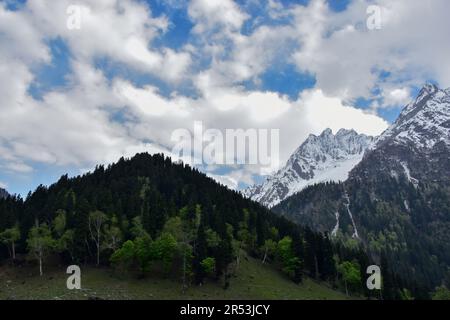 Sonamarg, Kaschmir, Indien. 31. Mai 2023. Ein malerischer Blick auf das Sonamarg Touristenresort, ca. 100kms km von Srinagar, der Sommerhauptstadt von Jammu und Kaschmir entfernt. (Kreditbild: © Saqib Majeed/SOPA Images via ZUMA Press Wire) NUR REDAKTIONELLE VERWENDUNG! Nicht für den kommerziellen GEBRAUCH! Stockfoto