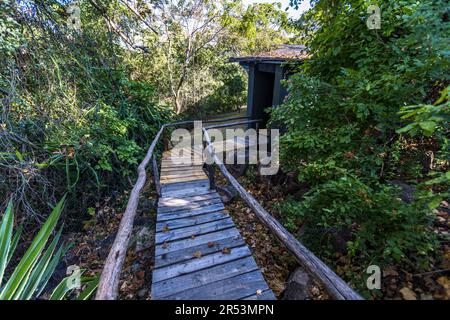 Holzsteg und Zugang zum freistehenden Gästehaus in der Pumulani Lodge, Robin Pope Safaris, am Ufer des Lake Malawi, Cape Maclear, im Lake Malawi National Park. Kasankha, Malawi Stockfoto