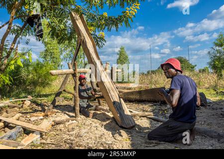 Es gibt kein Sägewerk in Malawi. Überall werden Bretter von Hand gesägt, wie hier in der Kutchire Lodge. Nationalpark Malawi Liwonde Stockfoto