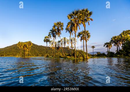 Abendliche Atmosphäre am Shire River. Liwonde-Nationalpark, Malawi Stockfoto