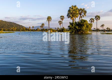 Abendliche Atmosphäre am Shire River. Liwonde-Nationalpark, Malawi Stockfoto