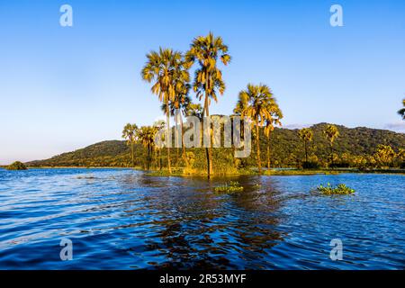 Abendliche Atmosphäre am Shire River. Liwonde-Nationalpark, Malawi Stockfoto