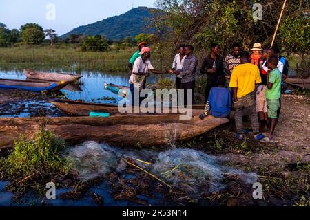 Fischkauf direkt vom Boot auf dem Shire River. Liwonde-Nationalpark, Malawi Stockfoto