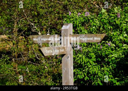 Fingerpost-Schild für den Cattle Creep Trail und den West Highland Way, Tyndrum, Schottland Stockfoto