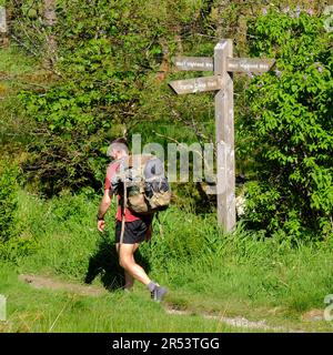 Walker überquert ein Fingerpost-Schild für den Cattle Creep Trail und den West Highland Way, Tyndrum, Schottland Stockfoto