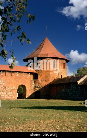 Trakai Insel Burg Trakai, Litauen Stockfoto