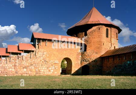 Trakai Insel Burg Trakai, Litauen Stockfoto