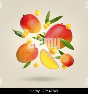 Köstliche Mangoblätter und Blätter auf weißem Hintergrund Stockfoto