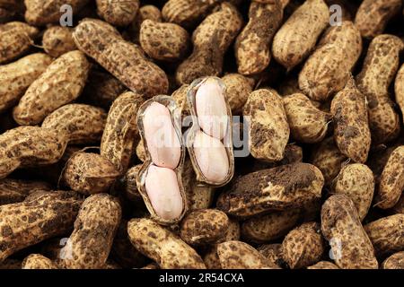 Frisch gepflückte Erdnüsse, Arachis hypogaea. Lebensmittelhintergrund Stockfoto