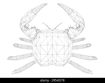 Krebs-Horoskop-Zeichen im 12-Zodiac-Hintergrund, Grafik von Drahtmodell-Krabben, futuristische niedrig polygonale Krabben. Meeresfrüchte oder Astrologisches Symbol Krebs. Mo Stock Vektor